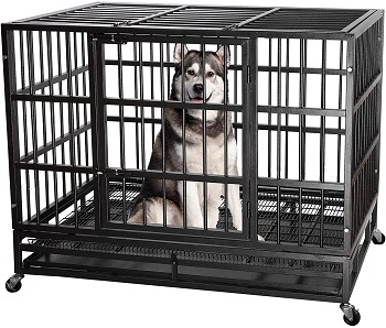 6 Best Dog Crate (Cage) For Husky To Take In 2022 Reviews