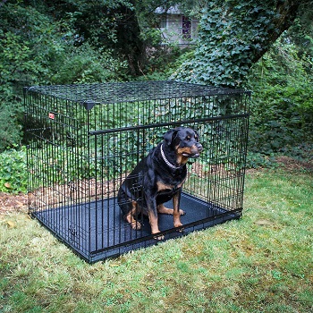 BEST INDOOR CRATE FOR GIANT BREED DOG