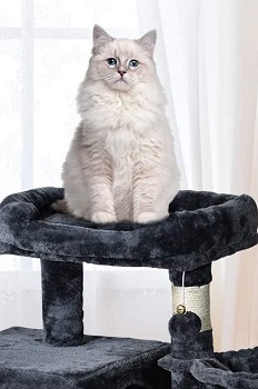 BEST LARGE CAT TREE BASKET