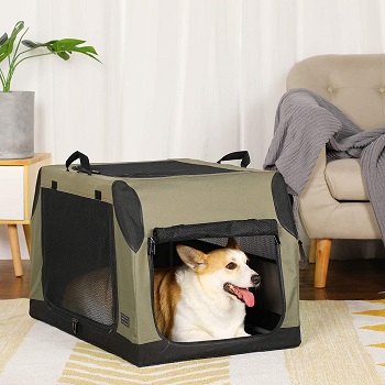 BEST MEDIUM COLLAPSIBLE TRAVEL DOG CRATE