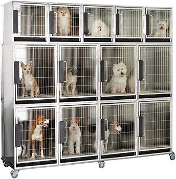 BEST METAL DESIGNER DOG CAGE