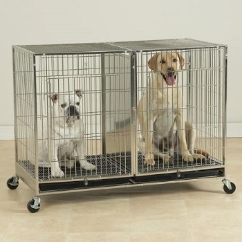 BEST METAL TALLEST DOG CRATE