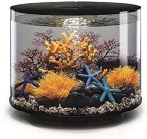 10 gallon fish bowl