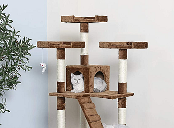 BEST OF BEST 6FT CAT TREE