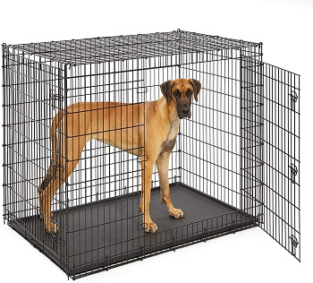 BEST OF BEST GIANT DOG CAGE