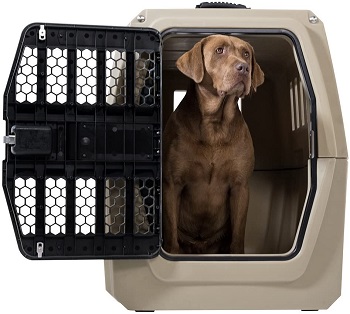 BEST PLASTIC CAR CRATE FOR LARGE DOG