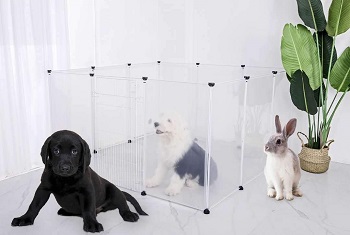 BEST PLASTIC CLEAR DOG CRATE