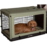 BEST PLASTIC COLLAPSIBLE DOG CRATE TRAVEL Summary