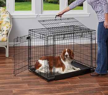 BEST PUPPY APARTMENT CRATE