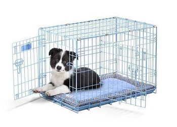 BEST PUPPY BLUE CRATE