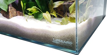 BEST RIMLESS 10 G FISH TANK