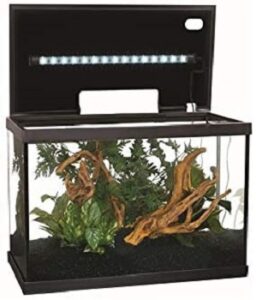 6 Best 10-gallon Clownfish Tanks For Commercial & Home Use