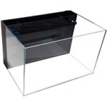 4 Best 10-gallon Rimless Aquarium (Tank) For Fishes Reviews