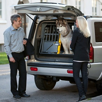 BEST TRAVEL DOG CAGE FOR HUSKY