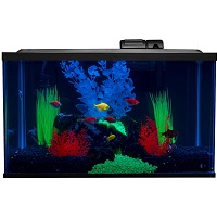 BEST WITH LED LIGHTS 10 GALLON FROG TANK summary