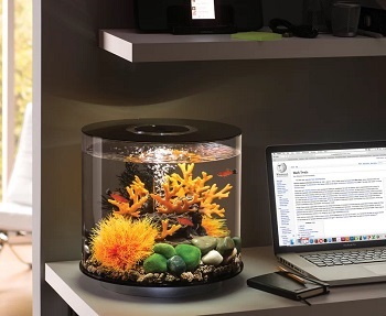 BiOrb Fish Aquarium