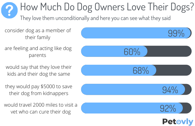 How Much Do Dog Owners Love Their Dogs