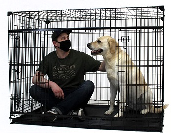 BEST 40 INCH TALL DOG CRATE