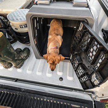 BEST PLASTIC BACK SEAT DOG CRATE