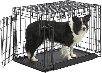 Midwest Ovation Folding Dog Crate