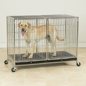 ProSelect Stainless Steel Dog Cage