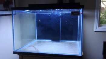SC Aquariums Fish Tank