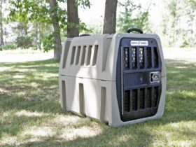 air-conditioned-dog-crate
