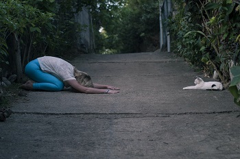cat doing yoga