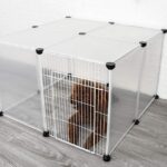 clear-dog-crate