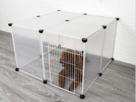 clear-dog-crate