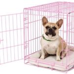 coloured dog crates
