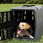cool-dog-crates