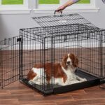 dog-apartment-crate