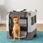 dog-camping-crate