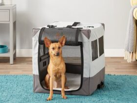 dog-camping-crate