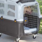 dog-crate-for-flying