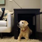 dog-crate-for-labrador