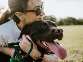 featured dog owners love their dogs