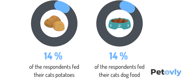 fed their cats both potatoes and dog food