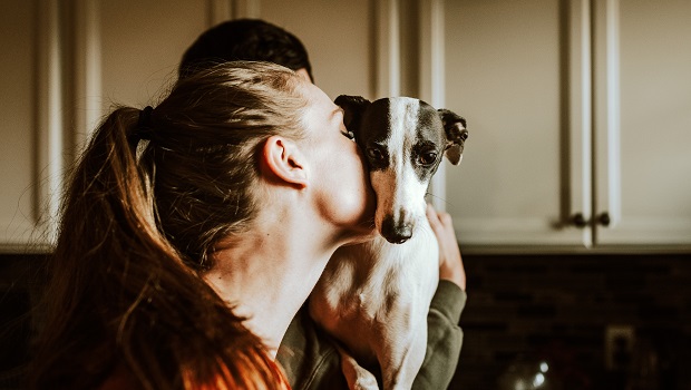 how much dog owners love their dogs