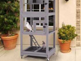2-budgie-parakeet-cage