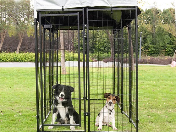 72-inch-dog-crate