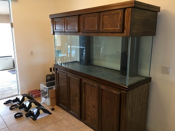 All Glass Aquariums Aqueon Tank