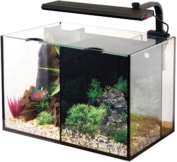 Aqua One Betta Aquarium