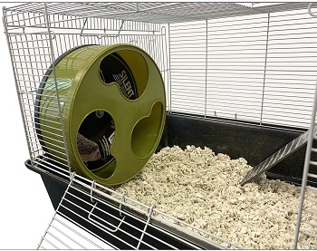 BEST 4 SQUARE FEET HEDGEHOG CAGE