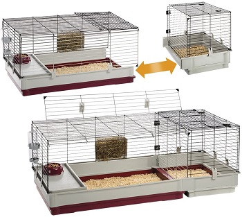 BEST AFRICAN PYGMY HEDGEHOG ENCLOSURE