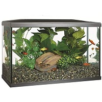 BEST CORAL REEF SELF CLEANING BETTA FISH TANK summary