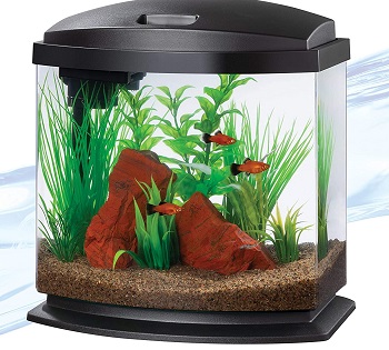 2.5 gallon fish tank with lid