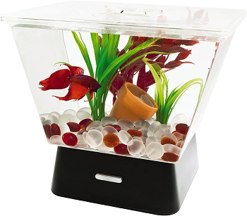 BEST CORNER CHEAP BETTA FISH TANK