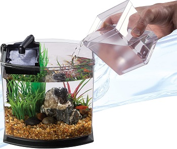 BEST CORNER SMALL GOLDFISH TANK